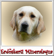 Erdőskerti Mineralaqua